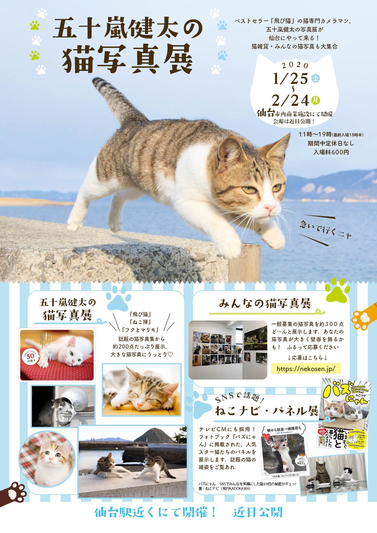 猫専門カメラマン”五十嵐健太の「飛び猫写真展」を 広島県・宮城県