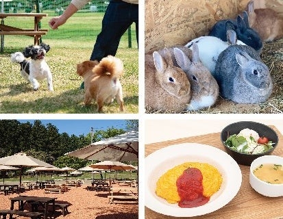 左上:「プライベートドッグラン」を開設。 右上:どうぶつふれあい広場の「もふもふハウス」。 下段:「グリルハウス」にはテラス席があり、ペットと一緒にお食事ができる。