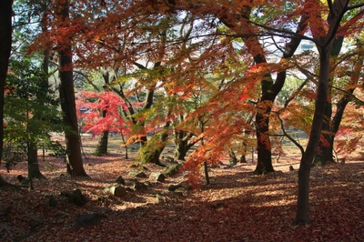 CmPgqVYuxRFh7m9D352H.jpg?w=940&h=940