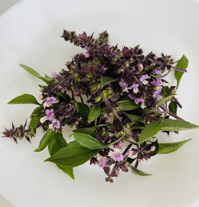 ホーリーバジル