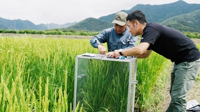 CnPmV7X4hveREtC693d8.jpg?w=940&h=940