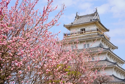 CnYL47l2wXRnaEAXVfm1.jpg?w=940&h=940