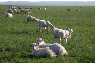 CoFzhyoBOlMxJFyT9EEy.jpg?w=940&h=940