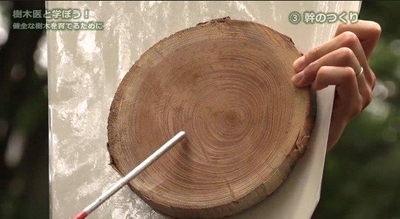 CoyMBkLuKkKf8p9JMVA7.jpg?w=940&h=940