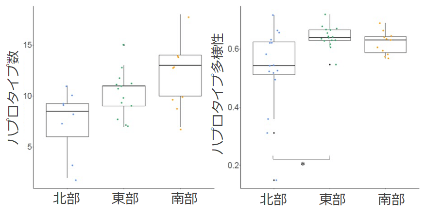 図3.琵琶湖の北部、東部、南部において検出されたハプロタイプの数(左)とハプロタイプ多様性(右)。北部のホンモロコ集団は、東部、南部に比べて遺伝的多様性が低い傾向が認められた。