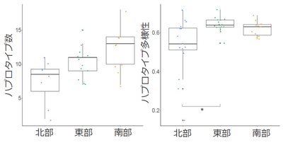 図3．琵琶湖の北部、東部、南部において検出されたハプロタイプの数（左）とハプロタイプ多様性（右）。北部のホンモロコ集団は、東部、南部に比べて遺伝的多様性が低い傾向が認められた。