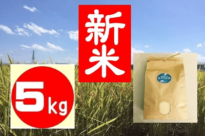 Cq8SmN3MMOH3wgDlWhcz.png?w=940&h=940