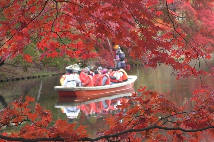 弘前公園中濠紅葉観光舟