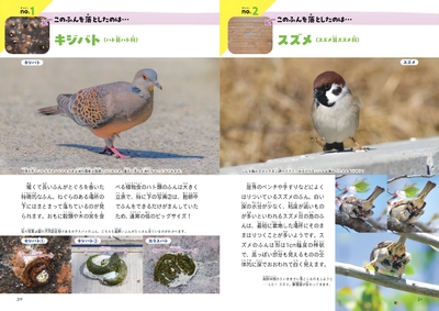 CtqNVwEV3PktuBNFzDog.jpg?w=940&h=940