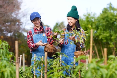 CvPqdEJpU0HULjppJl7C.jpg?w=940&h=940