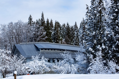 Cx39hkbaIcnWyETIC8Ms.jpg?w=940&h=940