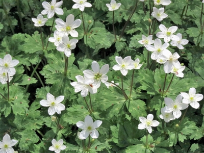 CxvsN8EjBEq1ujLkWUG9.jpg?w=940&h=940