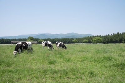 CyD5fdMIfKLwdLgXFphw.jpg?w=940&h=940