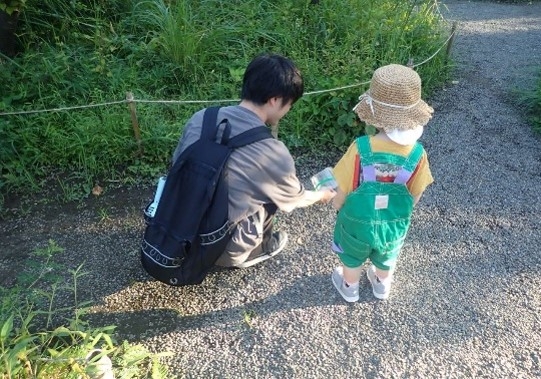 放虫(昨年の様子)