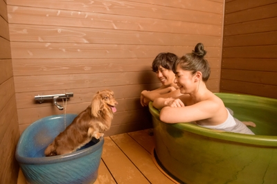 CyVa8rocUBEWU1cgPgIm.jpg?w=940&h=940