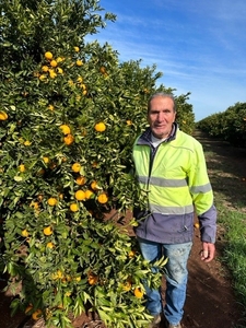 CzEn504lWJczphosf40l.jpg?w=940&h=940