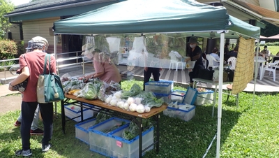 CzT01PQ8BuFSvLJ0ardo.jpg?w=940&h=940