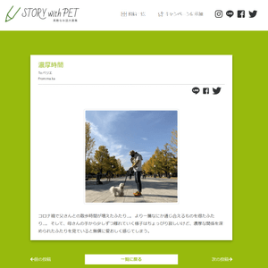 D0fiWgRxCCjbXp6eq8qA.png?w=940&h=940