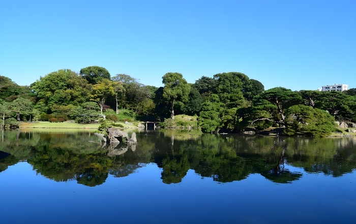 大泉水に浮かぶ中の島