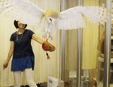 D1xFr1R6Ko5t7n0YdtQi.png?w=940&h=940