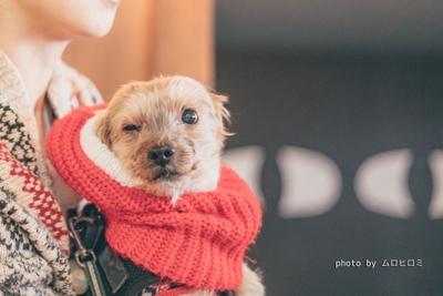 D26JBArbytKPaDvzSjgK.jpg?w=940&h=940