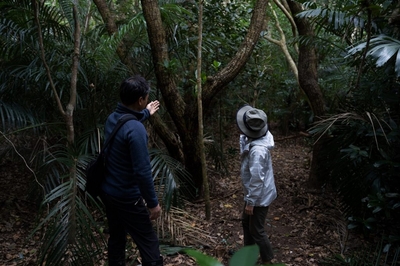 D5vmKVRnDboQV7i73GDP.jpg?w=940&h=940