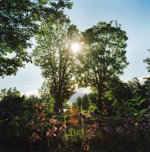 D6RnSNbKsLhKe87agBVA.jpg?w=940&h=940