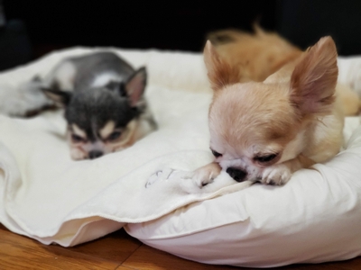 D6U5Ld4NGQFwxFJ33k55.jpg?w=940&h=940