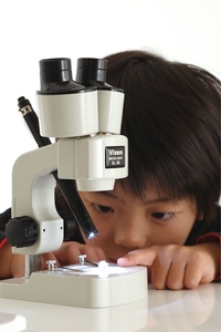 D6UGgLiVIgyzwsMyWtIN.jpg?w=940&h=940