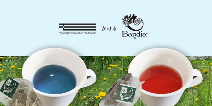 左:(1)ハーブティー『メタモルフォーゼ』/右:(2)ハーブティー『ステッピング・アウト』