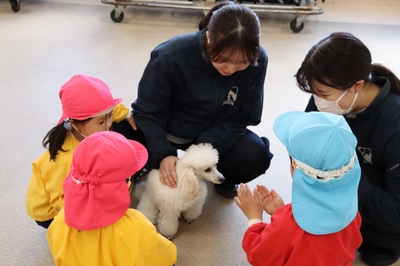 DAxoVy1GR0ty1wKY0IeP.jpg?w=940&h=940