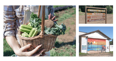 DCeVpXLBdEGq6OfdpGNu.png?w=940&h=940