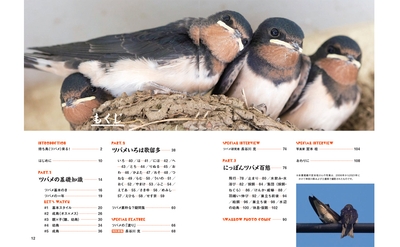 DCtEQ1R31Oq9PGu6tX78.jpg?w=940&h=940