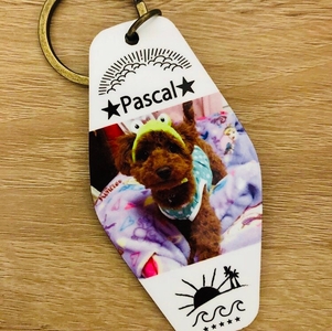 DDZw1SiSgMwCppv78Ez8.jpg?w=940&h=940