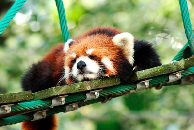 DEcTYWTeXBiAfDjp88SC.jpg?w=940&h=940