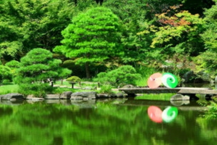 【六義園など都立8庭園】夏季限定「和傘で庭園めぐり」和傘の貸し出しを開始