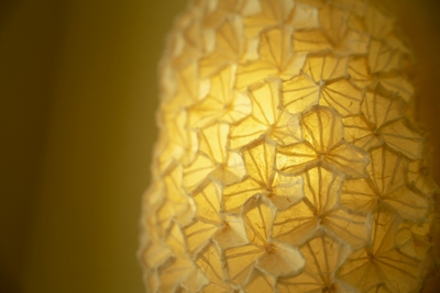 DIx1AVRdMCpcyXAdh7wr.jpg?w=940&h=940