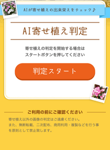 判定スタートボタンを押す