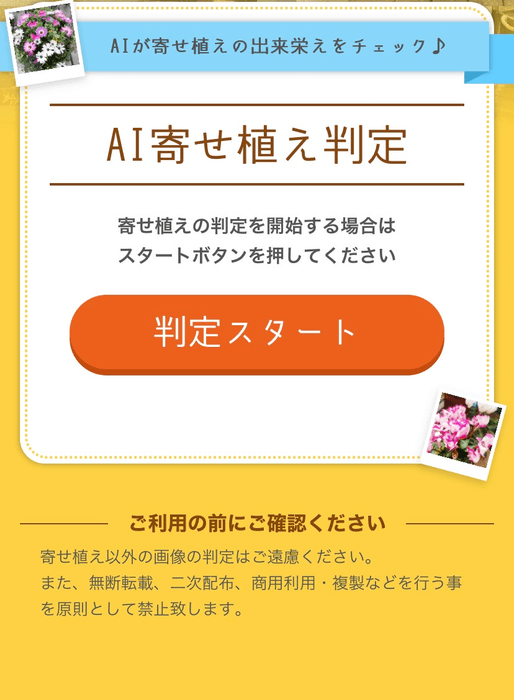 判定スタートボタンを押す