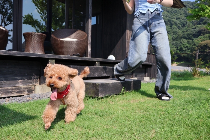 HOTEL VISONドッグヴィラ