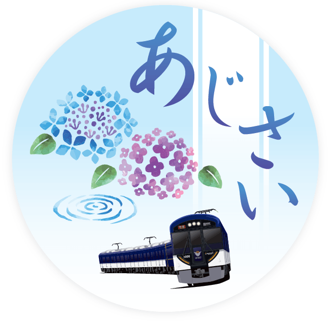 ~ 京阪沿線 初夏の花キャンペーン ~ 淀屋橋から宇治への臨時列車「あじさい号」を運転します