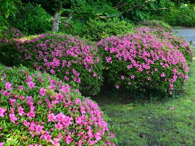 DMONfRGkA3Yg4lecYhs6.jpg?w=940&h=940