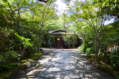 DMOTbpbUKbVk452lIelD.jpg?w=940&h=940