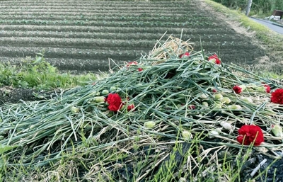 DNDWmzqKZ6O6SJWIP2G1.jpg?w=940&h=940