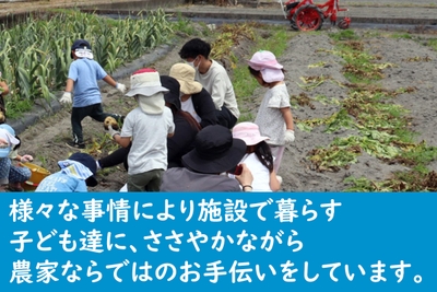 DNkXhLdj4pgbZBx5UqZn.jpg?w=940&h=940