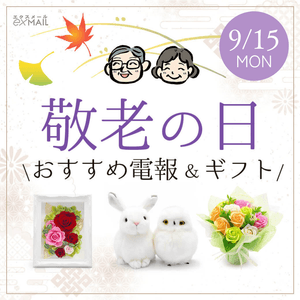 DOaG3EFbEmnnTDh4TbSa.png?w=940&h=940