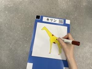 DPGi9IbJKQDM7X8YQ4yf.jpg?w=940&h=940