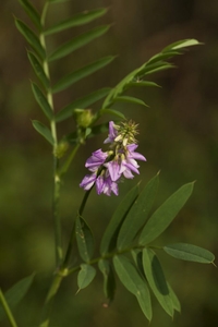 DPSMTUIr6YfwffcDG1EY.jpeg?w=940&h=940