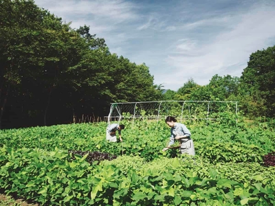 DQKXuverfqGpc9s2IDlE.jpg?w=940&h=940