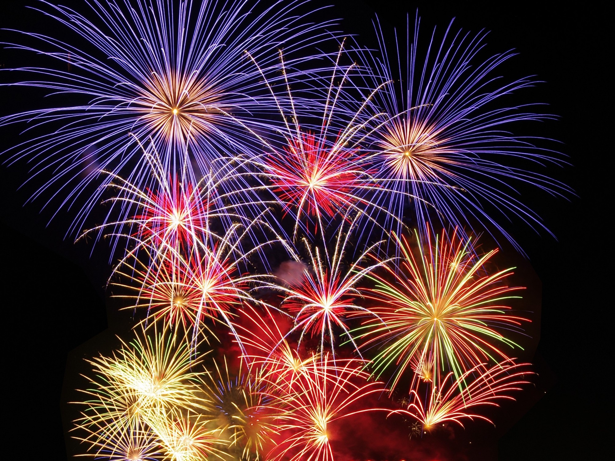 【2025年7月開催】徳島県美波町で「第62回日和佐うみがめまつり」開催